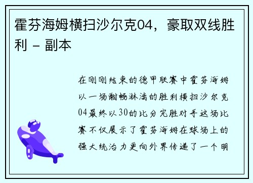 霍芬海姆横扫沙尔克04，豪取双线胜利 - 副本